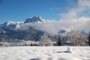 Appartement en chalet