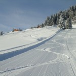 pistes cordon LQ